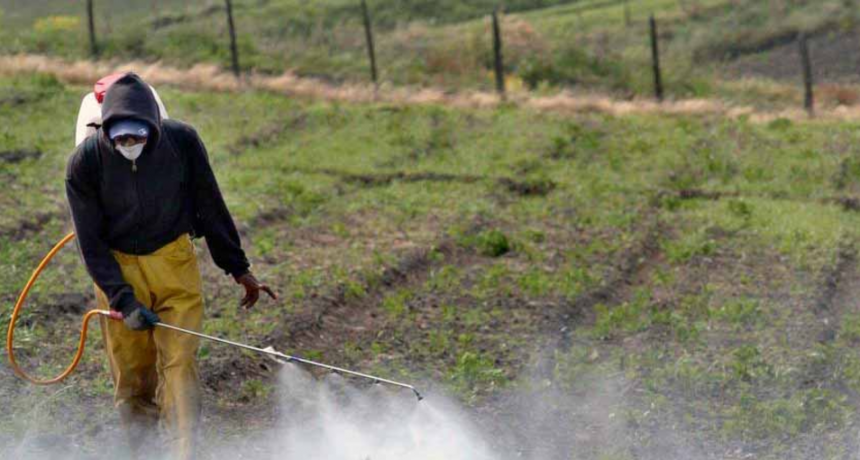 Pediatras advierten de los efectos nocivos de los agroqu&iacute;micos en la infancia