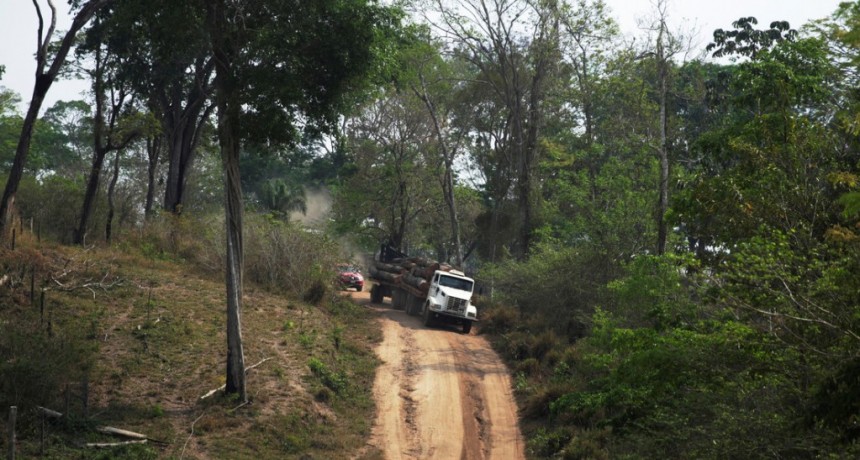 Narcotr&aacute;fico, desplazamiento forzado y violencias: las huellas silenciadas de la deforestaci&oacute;n de la selva en Sudam&eacute;rica