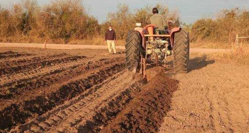 Producción impulsa Plan de Demostradores de implantación de caña de azúcar