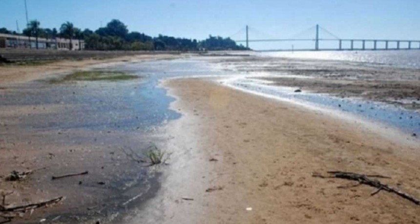 Bajante récord del Paraná: el hidrómetro registró 0,29 metros, una altura que no se registra hace 77 años