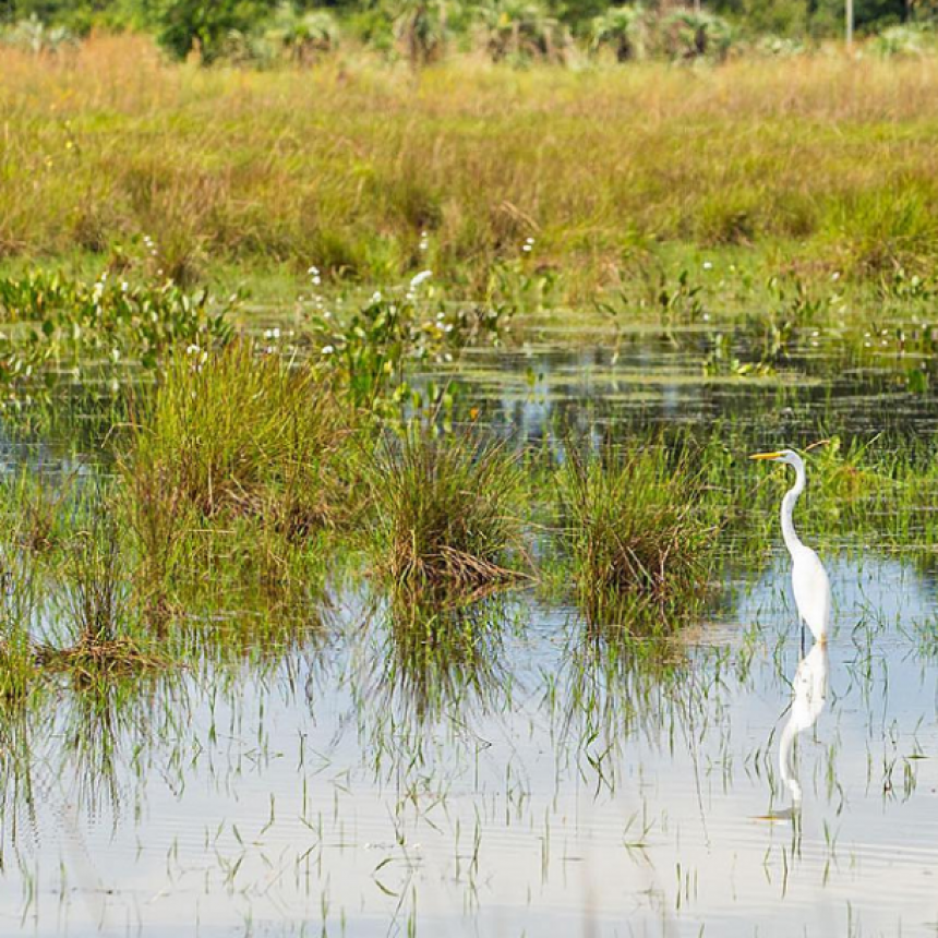 Parque Provincial Apipé Grande suma un nuevo destino ecoturístico a Corrientes