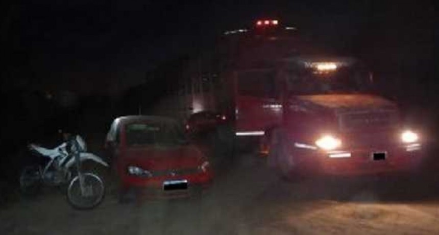 Cinco personas detenidas por el hurto de 90 animales vacunos