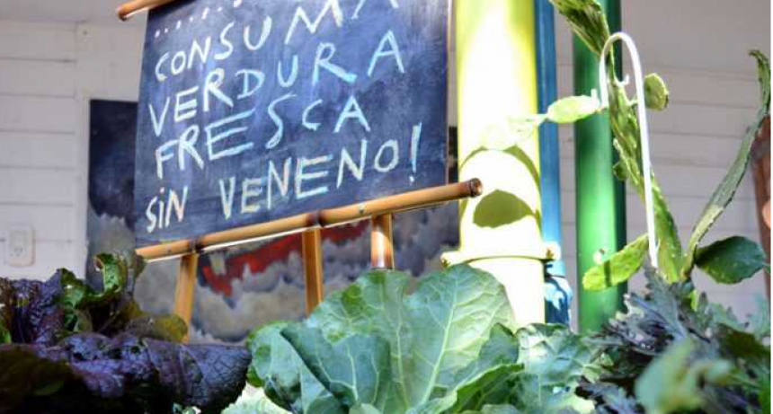 "Hablemos de semillas"