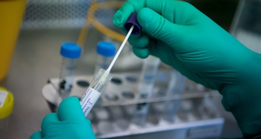 Confirmaron 471 muertes y 15.883 contagios en las últimas 24 horas