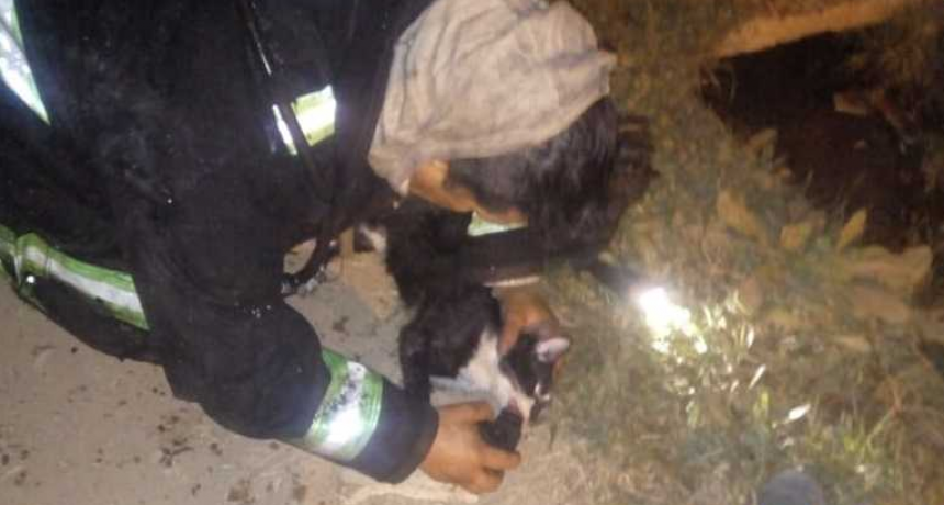 Voraz incendio en una casa de Resistencia generó varias pérdidas