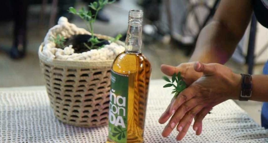 Víspera del ritual de la caña con ruda