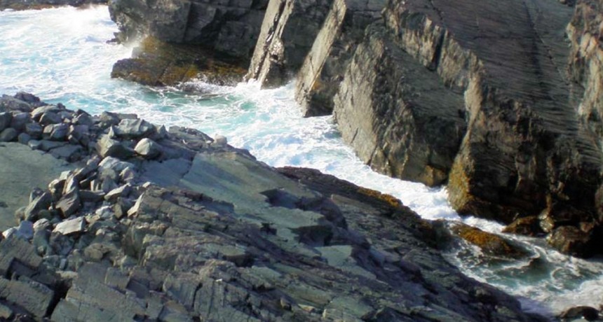 Creen que unos fósiles parecidos a las esponjas pueden ser la forma de vida animal más vieja del planeta