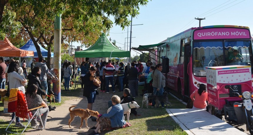 El programa de castración gratuita de mascotas de resistencia continúa en El Barrio 80 Viviendas