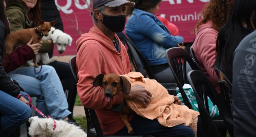 El programa de castración gratuita recorre los barrios de Resistencia para incentivar la tenencia responsable de mascotas