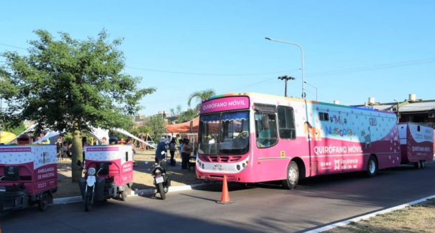 Este lunes, el municipio de Resistencia realizará castración gratuita de mascotas en Villa Ercilia