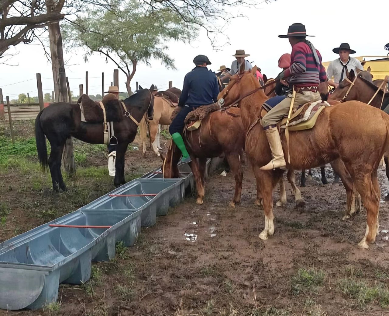 El programa Dejando Huellas acompañó la Cabalgata de la Fe