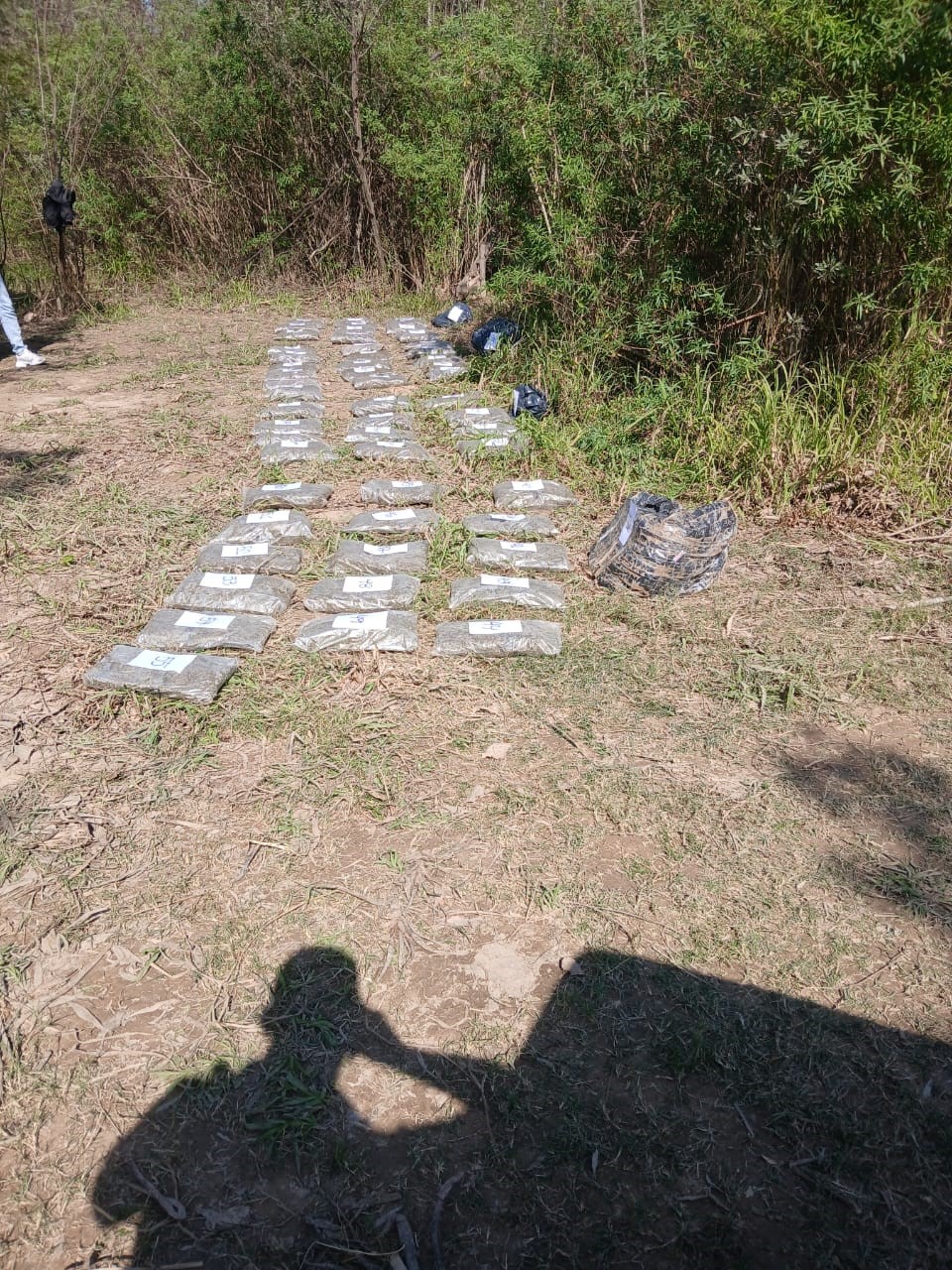  Descartan casi 60 kilos de marihuana en Villa Río Bermejito