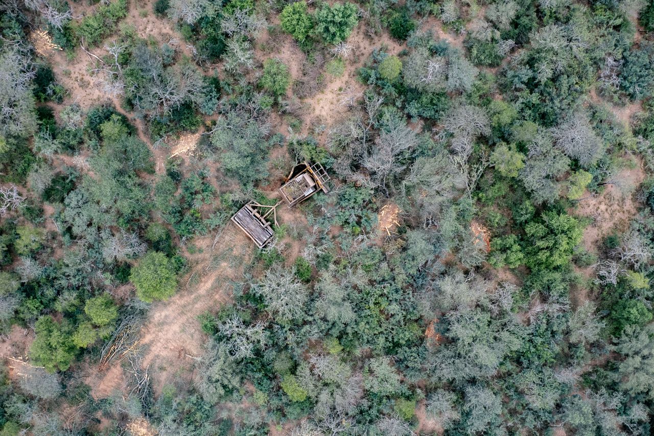 Chaco: Greenpeace denunció desmontes ilegales de más de 8000 hectáreas en lo que va del año