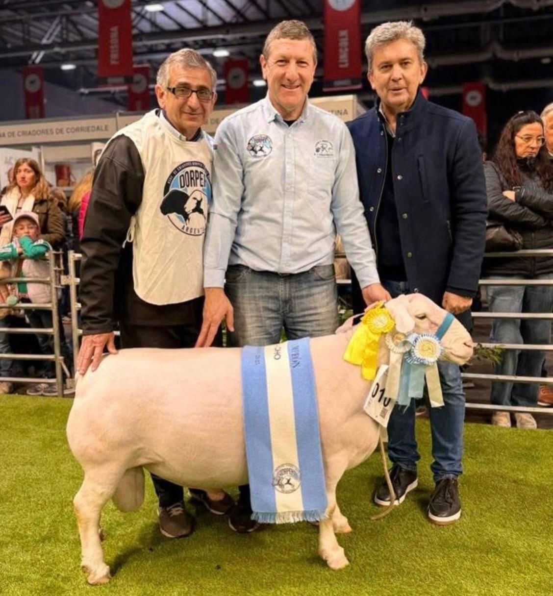  Chaco logró un Gran Campeón Macho en La Rural