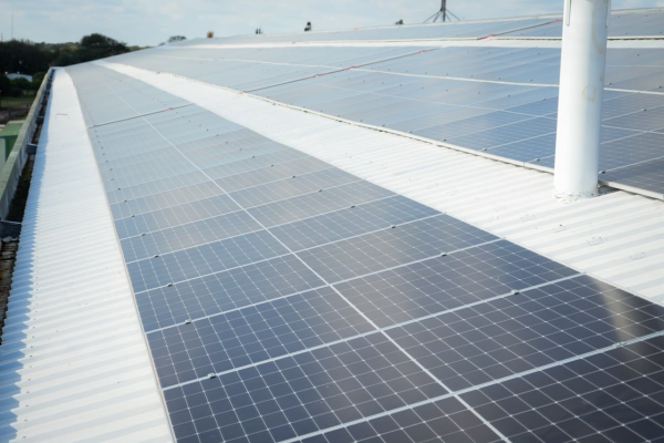 El gobernador Zdero acompa&ntilde;&oacute; la inauguraci&oacute;n de un sistema de energ&iacute;a solar en Frigoporc y destac&oacute; la inversi&oacute;n privada en el Chaco
