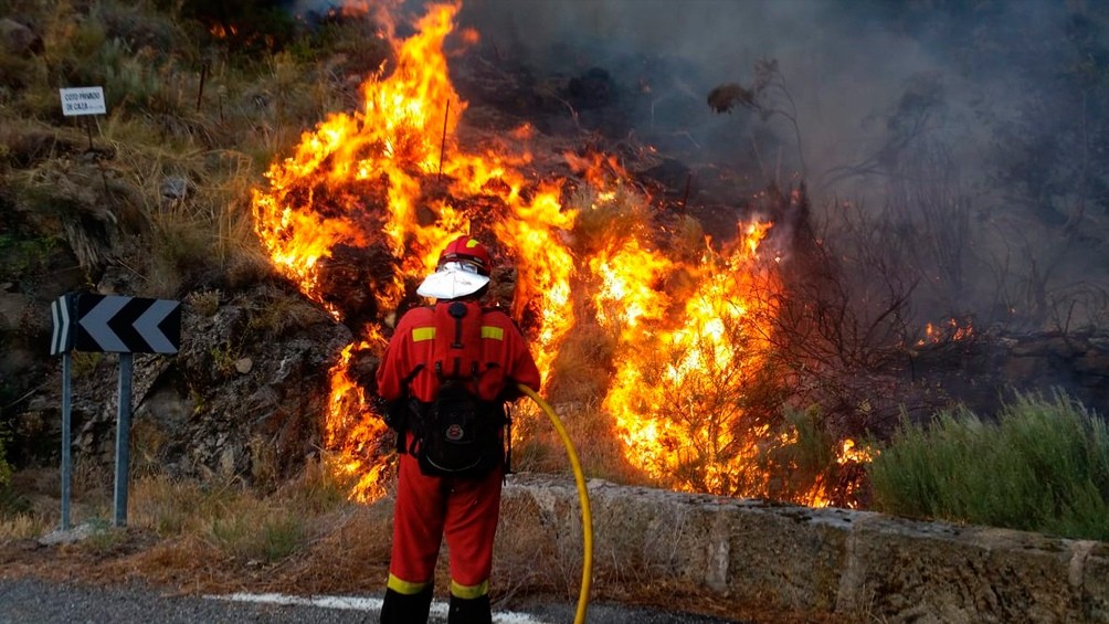La ola de calor causó incendios en Grecia, Turquía, Italia y España