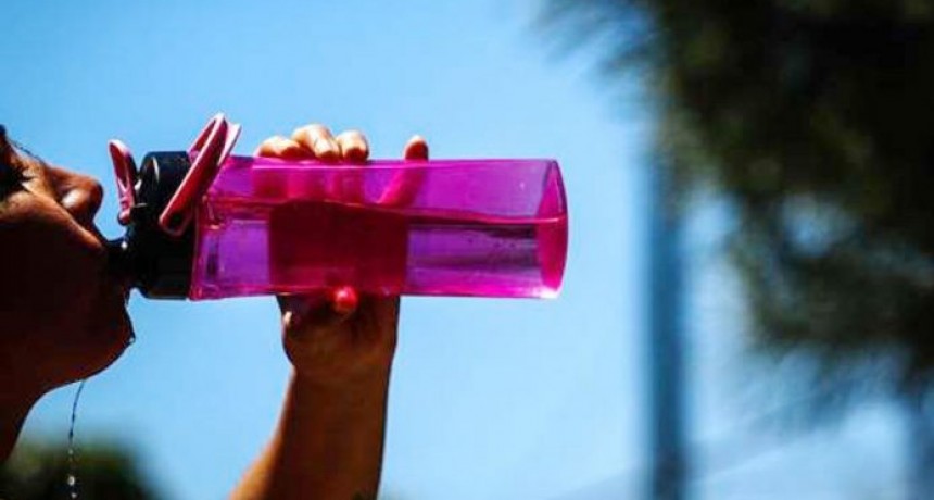 La temperatura trepará hasta casi 40ºC antes del ingreso de un frente frío