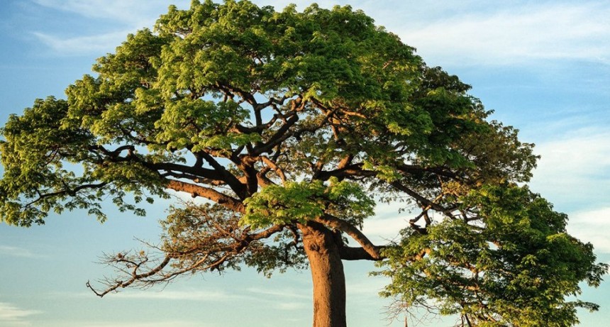 “Estamos llevando adelante obras sanitarias estructurales que tienen como objetivo cuidar a los chaqueños y chaqueñas”