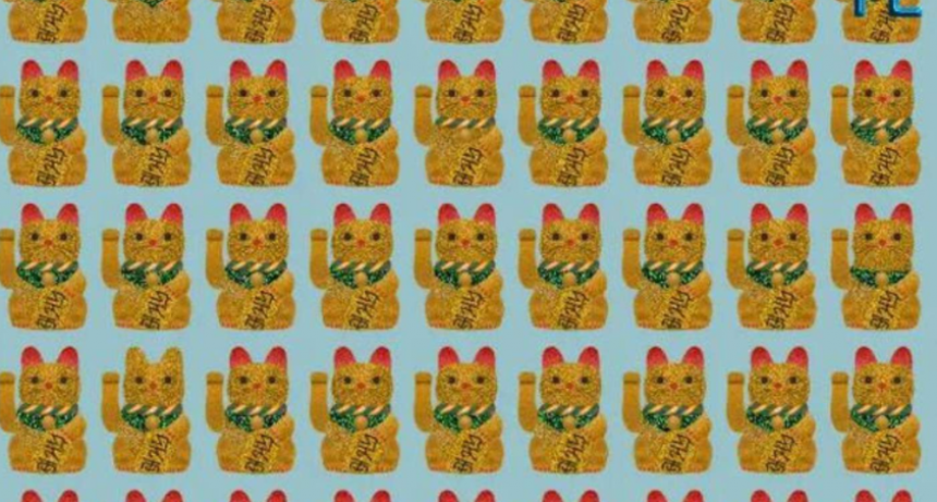 Reto viral: encuentra a los 5 gatos distintos de la imagen