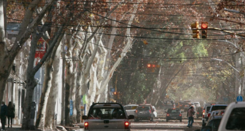 Emiten una advertencia naranja por situación de viento zonda en Mendoza