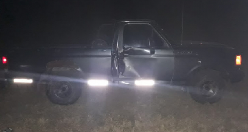 Un caballo asustado embistió a una camioneta en ruta 16