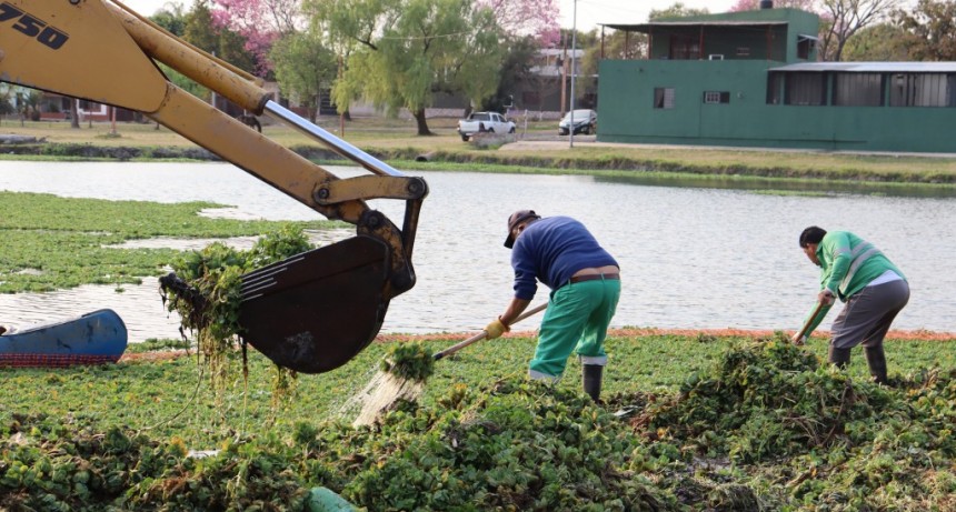 Laguna Argüello: continúan las tareas de limpieza y reacondicionamiento