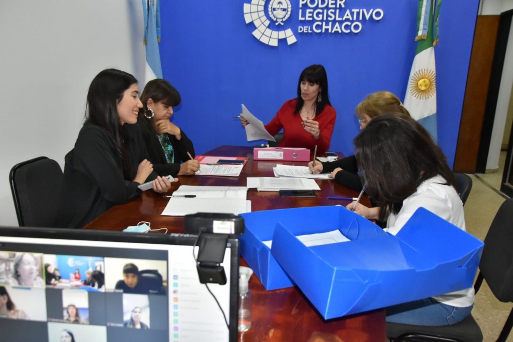 La Comisión de Género dictaminó a favor de crear una reparación económica complementaria a la ley Brisa