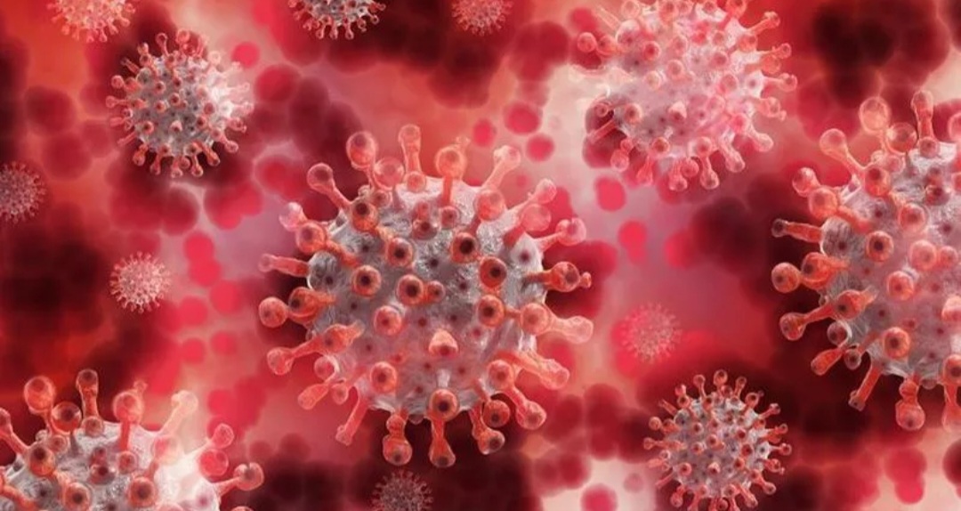 Coronavirus: se reportó un fallecido y 1.907 nuevos casos en la última semana en el Chaco