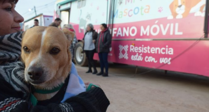 Desde este jueves la castración de mascotas se hará en Villa Seitor