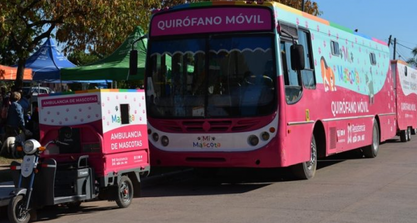 La castración gratuita de mascotas llega este martes al Barrio Independencia