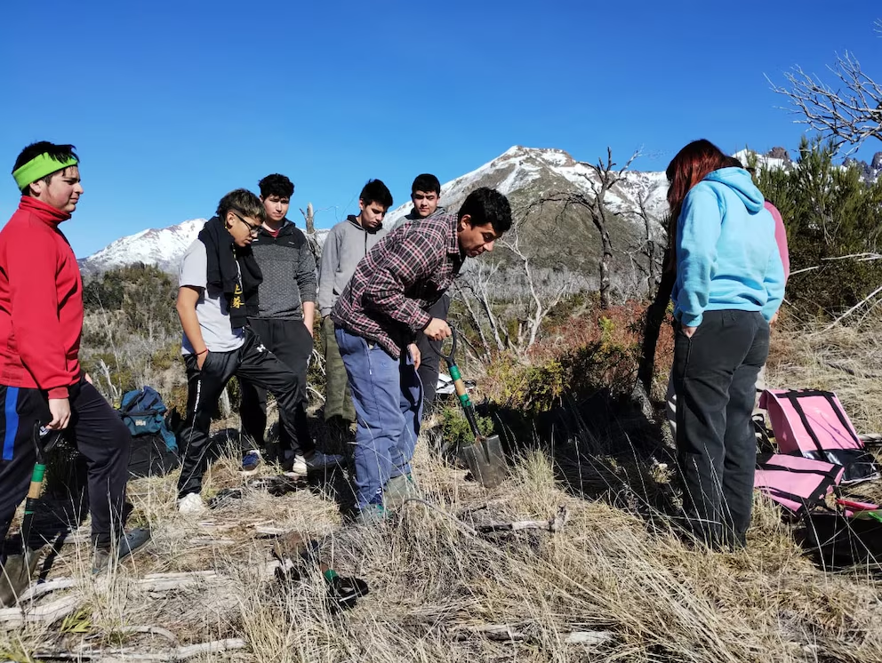 La escuela de Chubut que lleva 20 a&ntilde;os reforestando el bosque: sus alumnos ya plantaron m&aacute;s de 32.000 &aacute;rboles