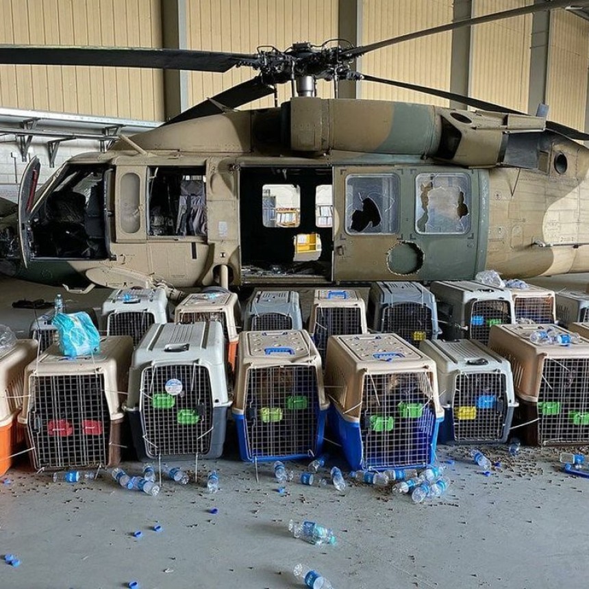 El Pentágono negó haber abandonado a sus perros en el aeropuerto de Kabul