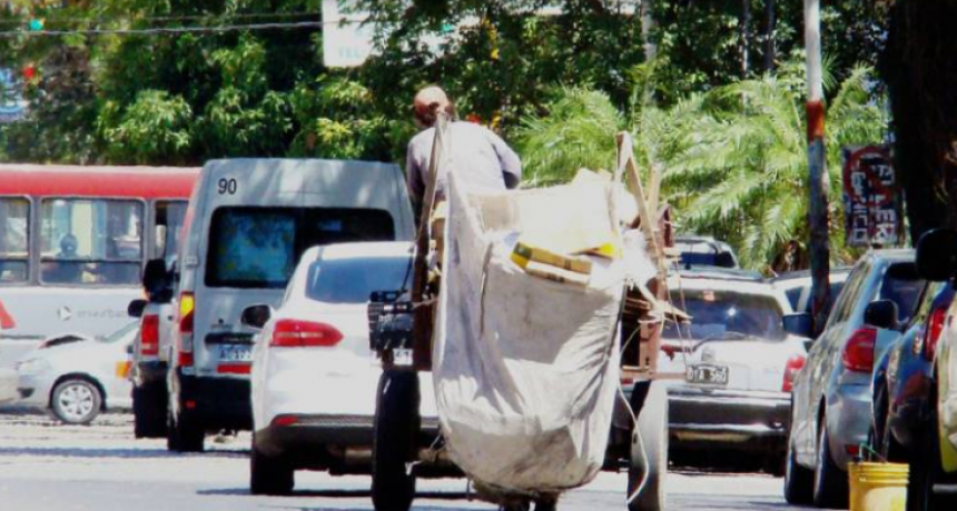 Proteccionistas piden que se cumpla la ordenanza que elimina la tracción a sangre