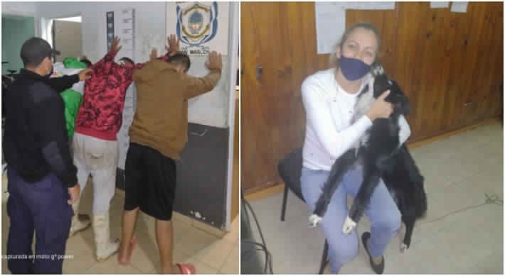 En moto y a plena luz del día robaron una perra de la puerta de su hogar