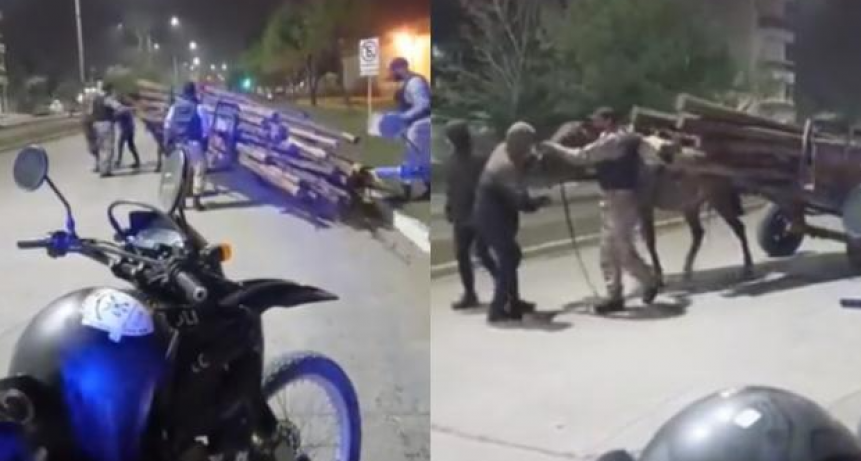 Robo y maltrato animal: una yegua acarreaba más de 30 postes por avenida Edison