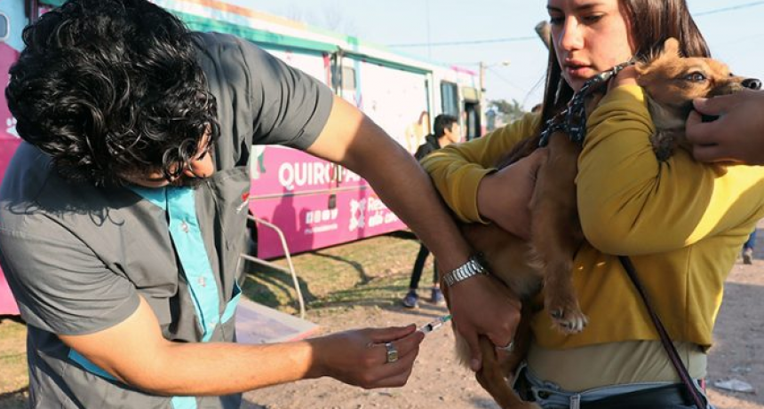 Este lunes realizarán castraciones gratuitas de mascotas en el barrio Santo Domingo