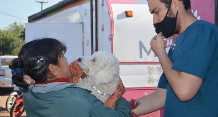 Este lunes, el programa “mi mascota” que impulsa resistencia continúa en el Barrio 13 de Diciembre