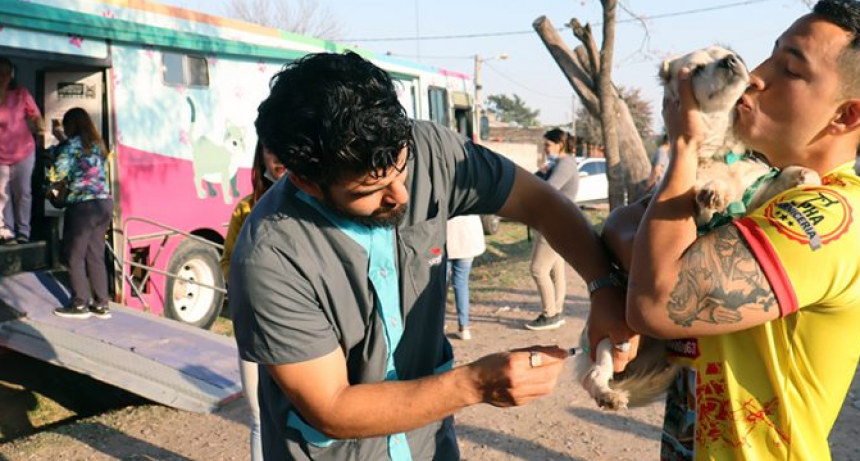 Este lunes, castración gratuita de mascotas estará en el barrio Los Cisnes de Resistencia