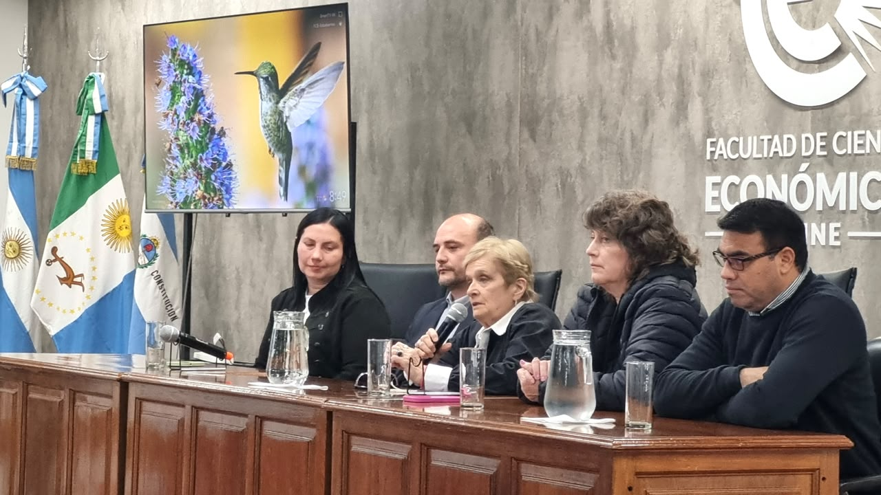 Plan de Alfabetización: Educación presentó los resultados de las evaluaciones para fortalecer los aprendizajes