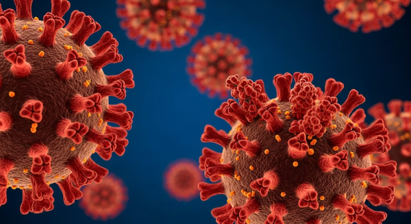Argentina confirm&oacute; los primeros casos de la variante BA.3.2 del virus del COVID: qu&eacute; dijeron las autoridades sobre su riesgo