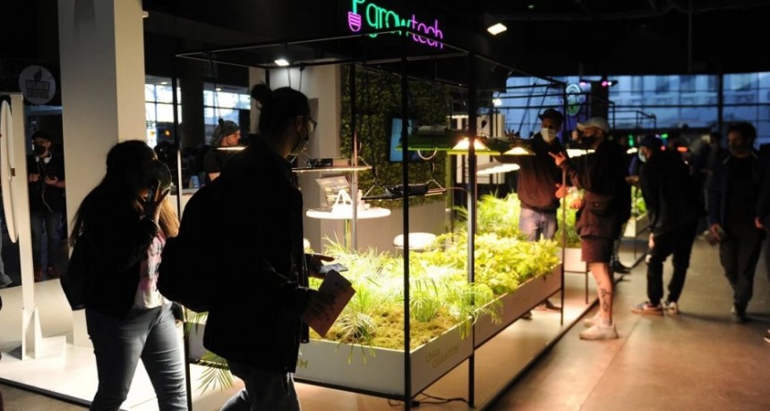 Bebidas, anteojos y productos para perros: las curiosidades de la Expo Cannabis