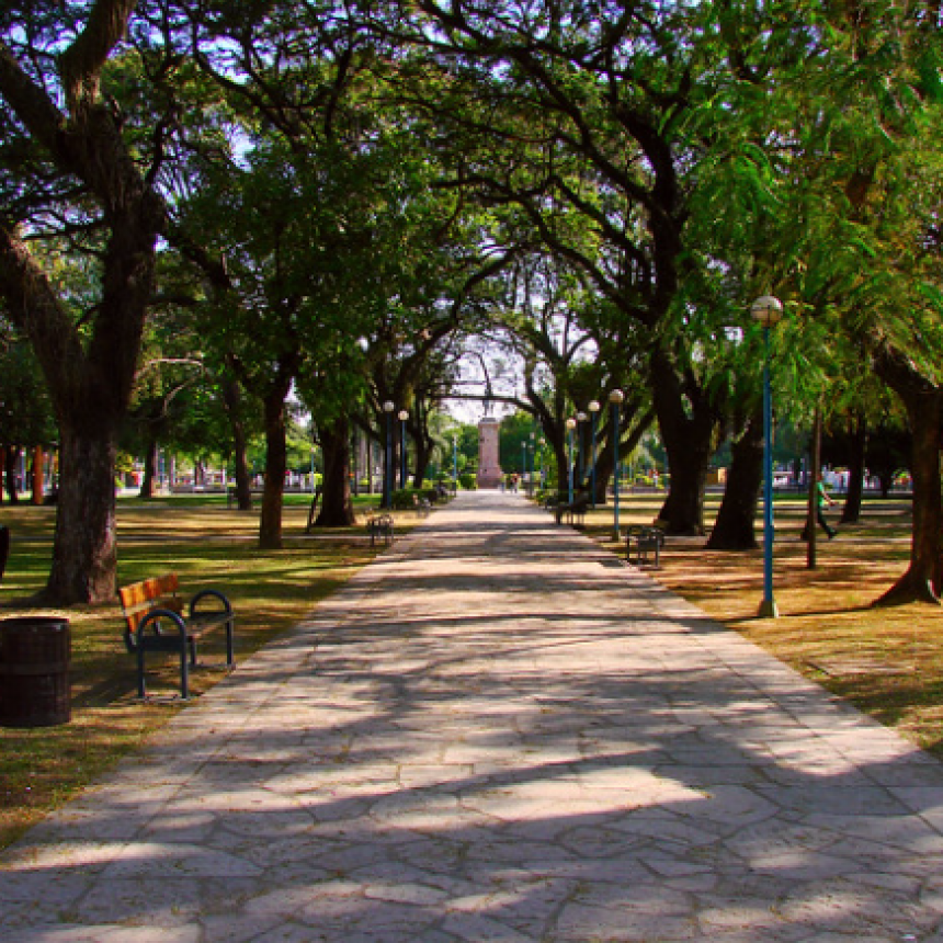 La semana inicia con buen tiempo: soleado y con una máxima de 27°C