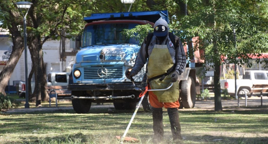 Se colocó nueva luminaria y realizó mantenimiento general de la Plaza 9 de Julio