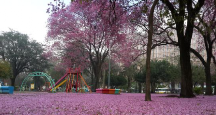 Viernes algo nublado y caluroso: se espera una máxima de 32°C