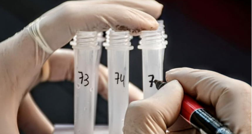 Otra jornada sin decesos por COVID-19 y siete nuevos contagios registrados en Chaco