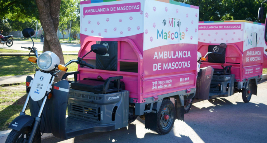Gustavo Martínez presentó las “motoambulancias” para trasladar mascotas