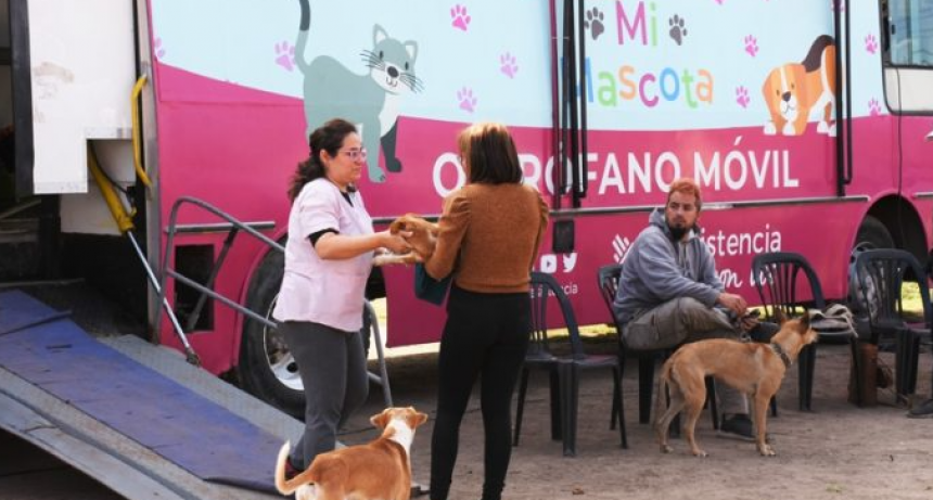 El Municipio llega el martes con la castración de mascotas a Chaco For Ever