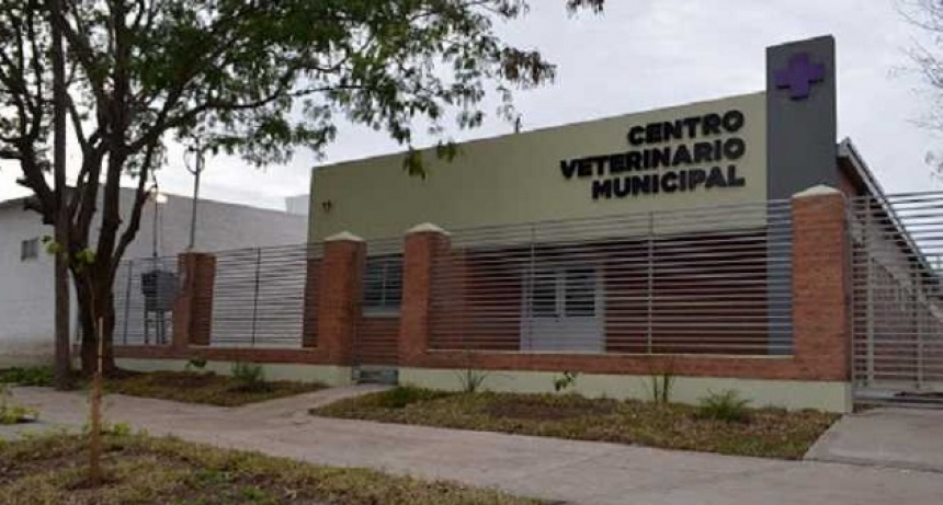 Centro Veterinario Municipal: horarios, turnos y prestaciones de servicios totalmente gratuitas
