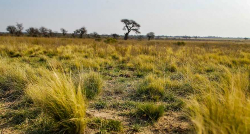 Estiman meses de calor y escasas lluvias por presencia del fenómeno de 