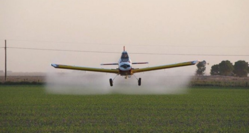 El intendente de Roca negó intoxicación masiva por agroquímicos en su pueblo
